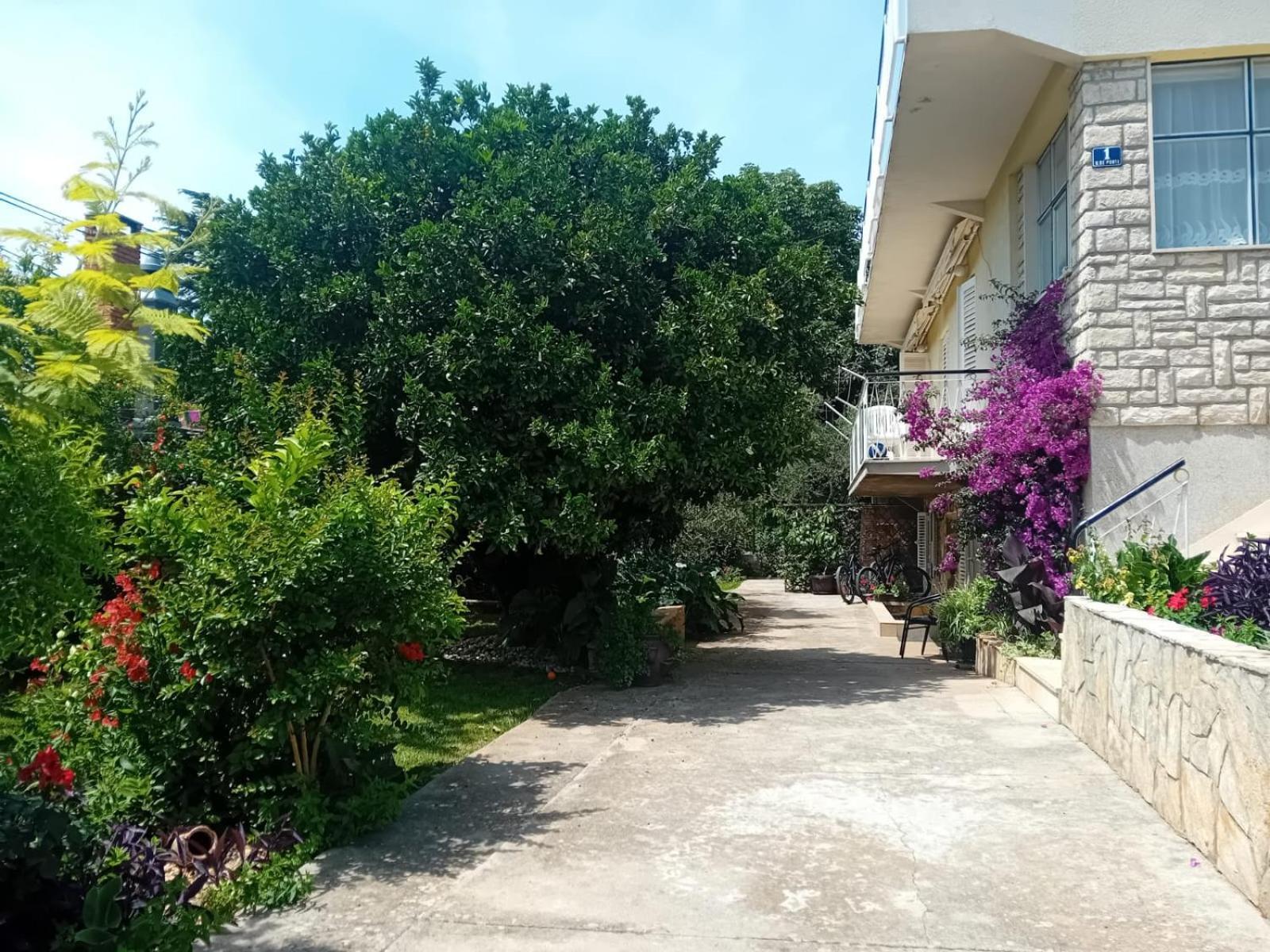Apartments Angie Zadar Bagian luar foto